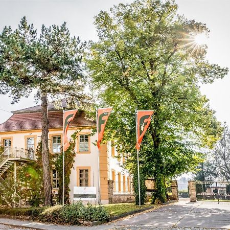 Stadtschloss Hecklingen*** 헤클링언 외부 사진